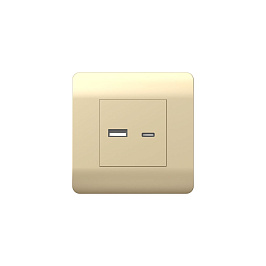 (NEW3-E) USB yuvası A+С, 5В/2,1А, Şampan