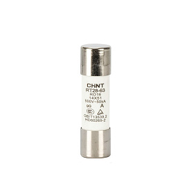 Silindrik Qoruyucu RT28-63 40А 14х51 (R)